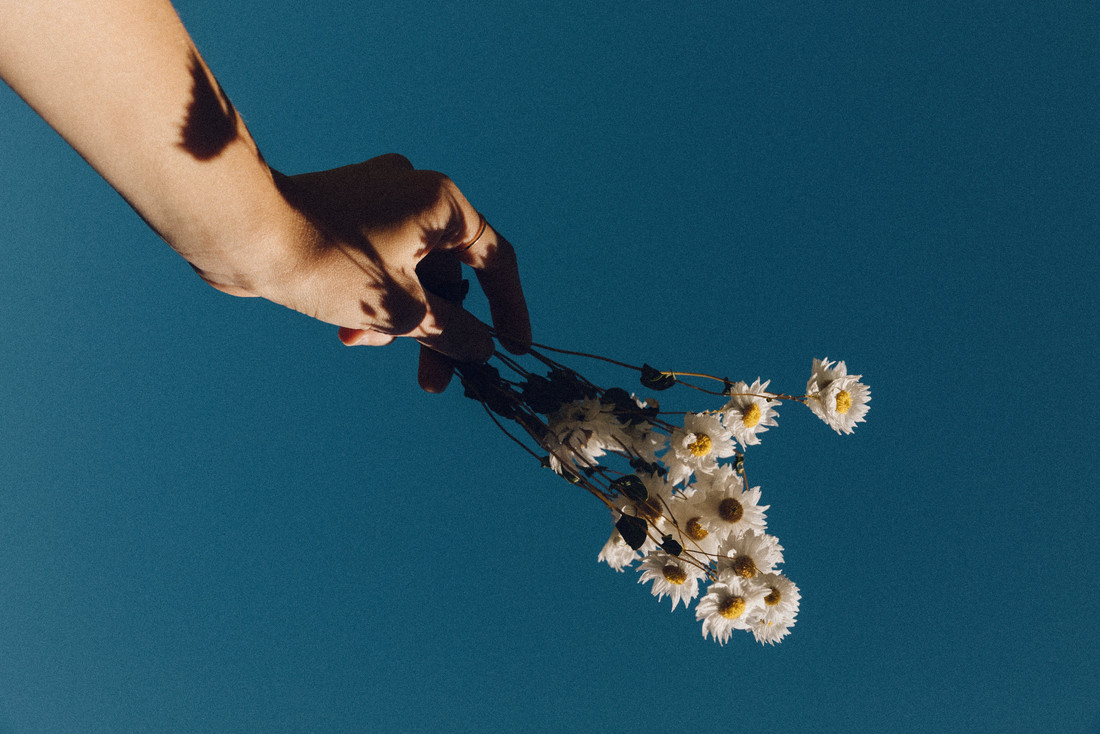 Pregnancy & Postpartum